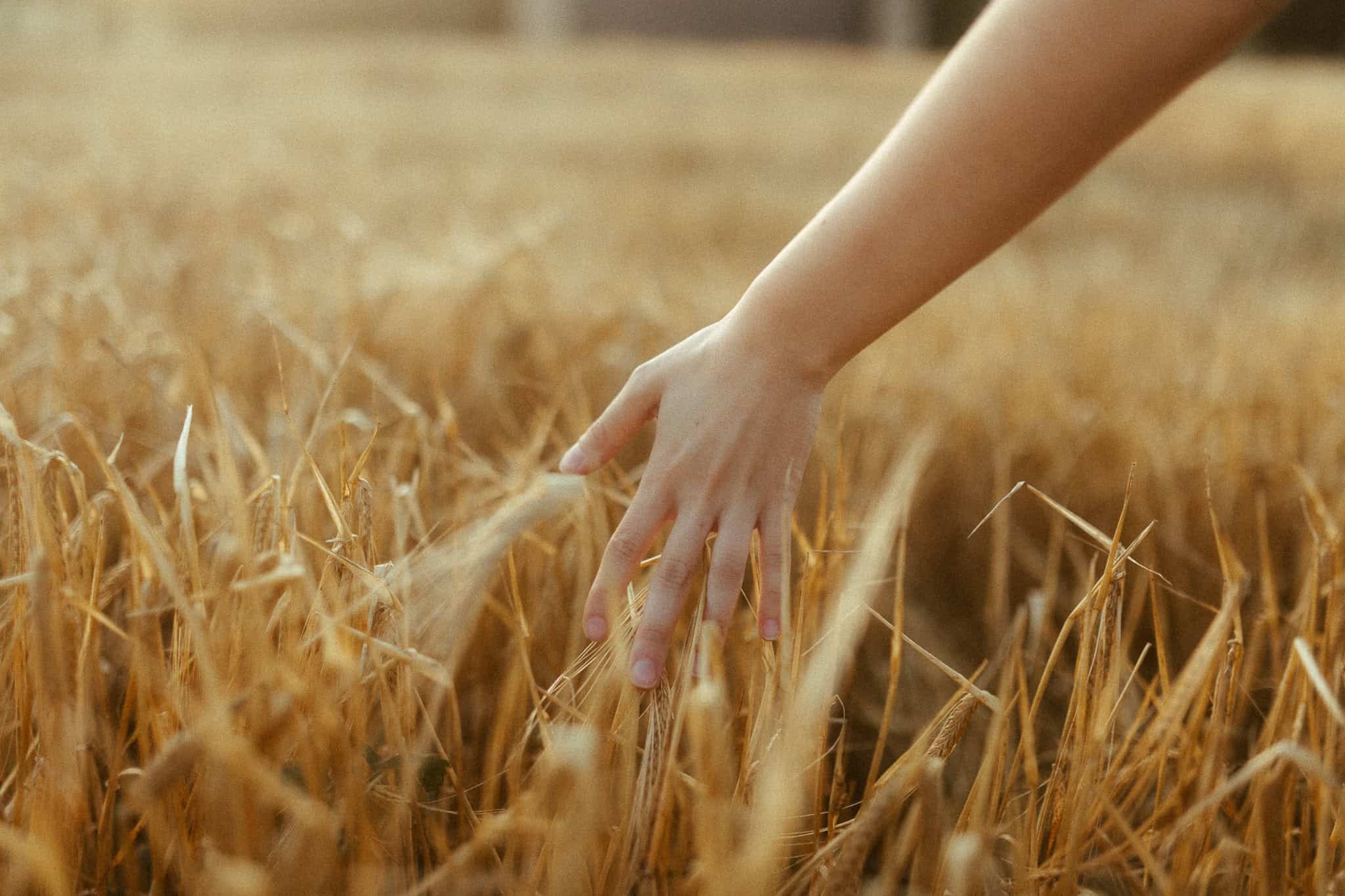 Pregnancy Photoshoot in nature outside of Barcelona