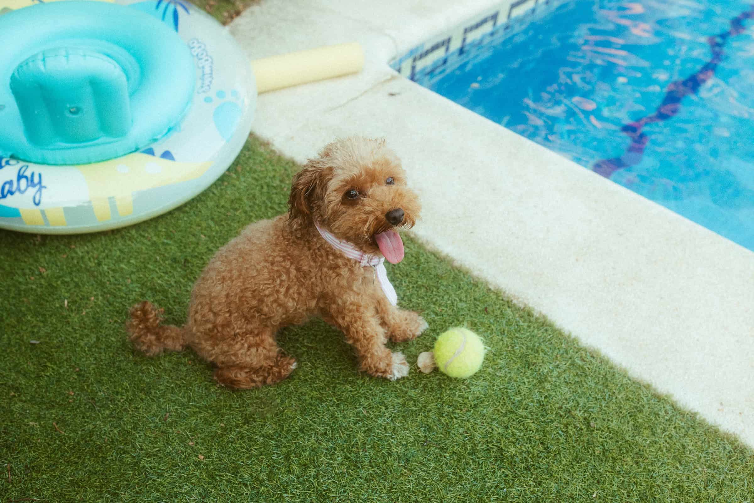 Lifestyle Family photoshoot near Barcelona