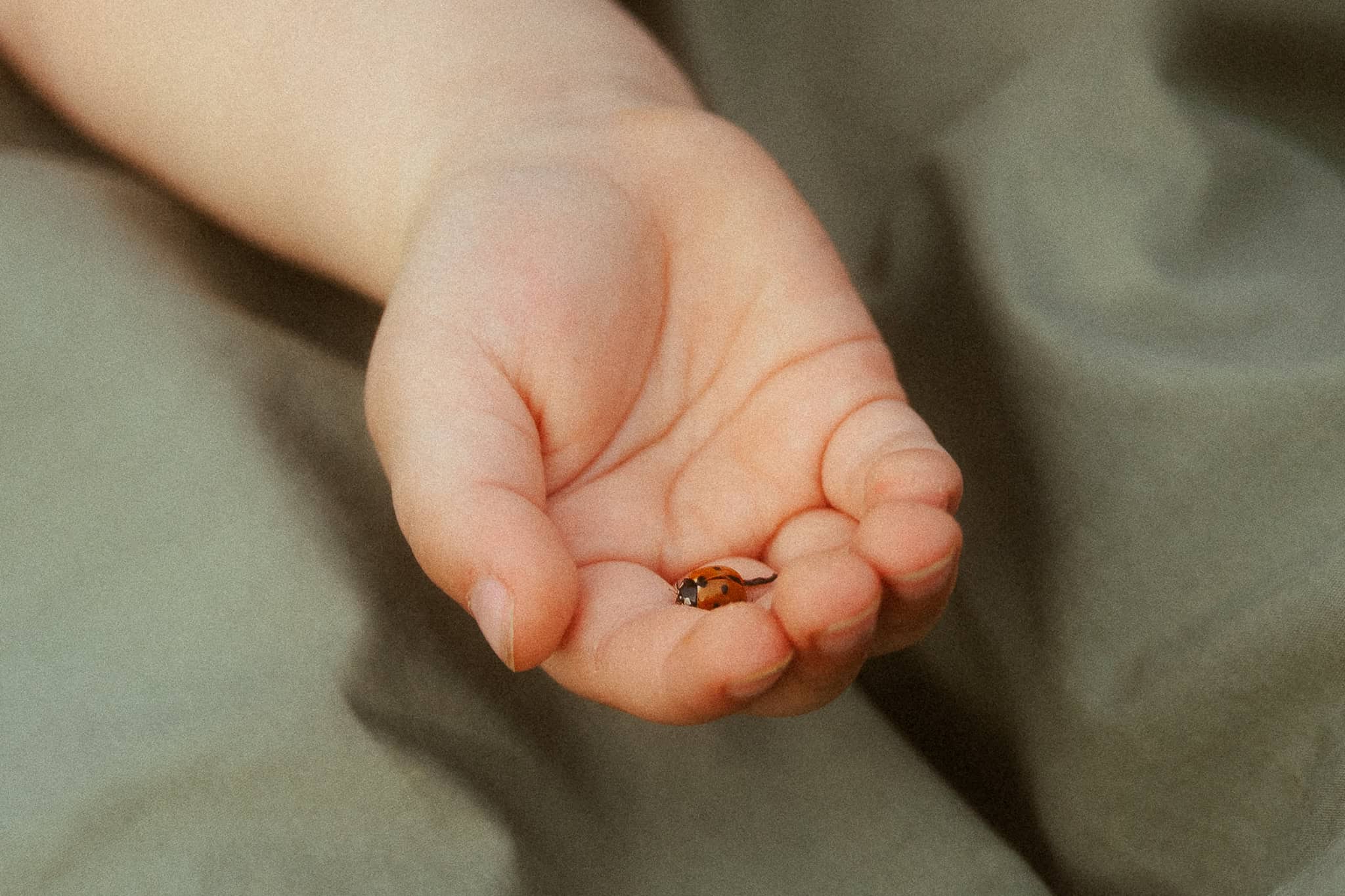 Family Photoshoot in the nature